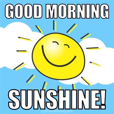 good morning sunshine meme|good morning sunshine emoji images.